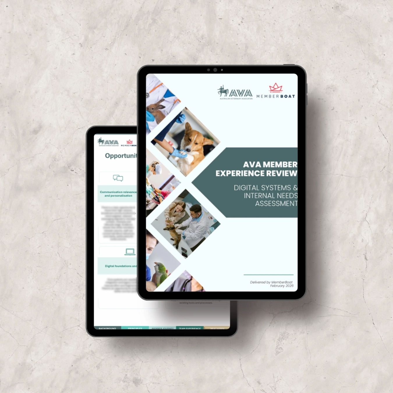 The AVA Member Experience Review report shown on tablets